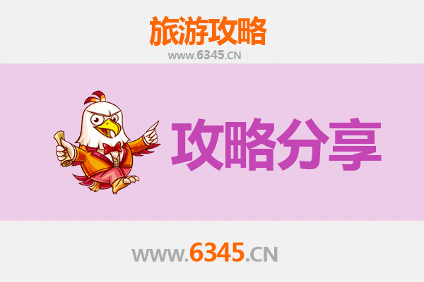 文山广南至湄洲岛旅游攻略：跟团还是自由行选择指南